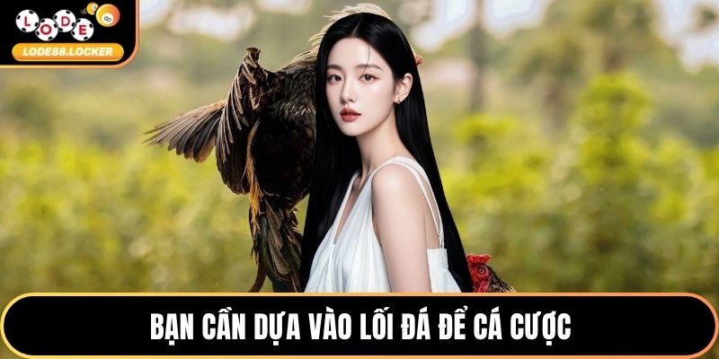 Bạn cần dựa vào lối đá để cá cược